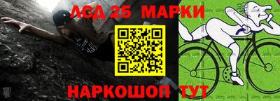 прущие грибы Новозыбков