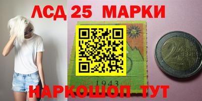 прущие грибы Новозыбков