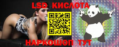 дживик Новодвинск