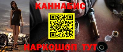 прущие грибы Новозыбков