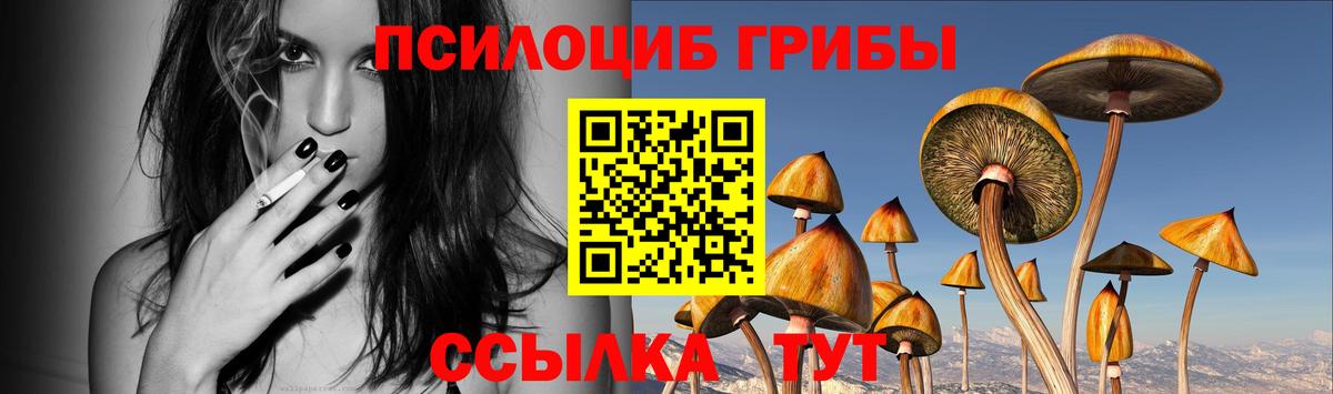 Анапа  Галлюциногенные грибы Magic Shrooms  Вход с VPN 